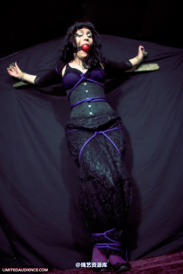limitedaudience - 2009 veriddian hoissy 2 第 18 张图片