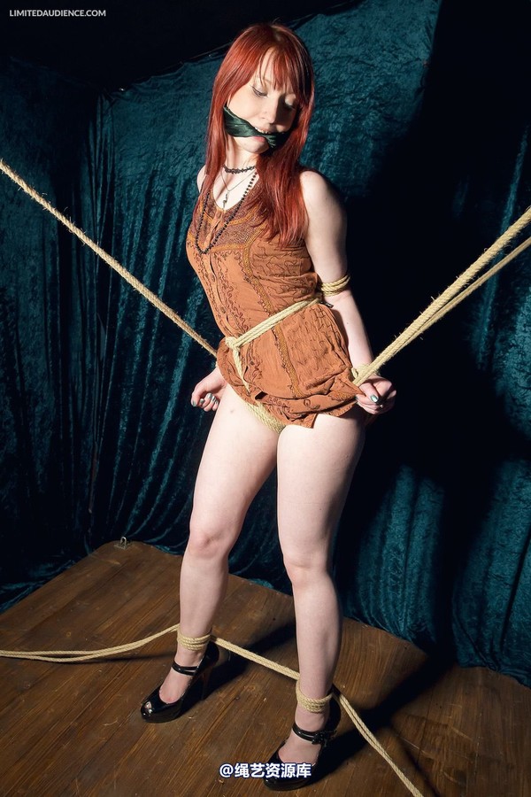 limitedaudience - 2013 syrah lee rope web 2 第 11 张图片