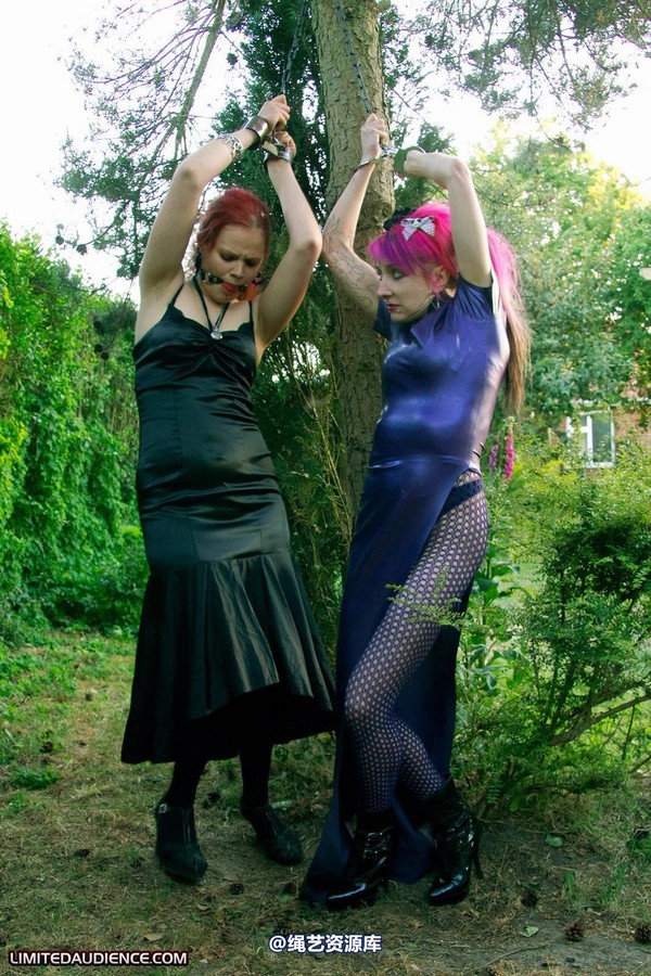 limitedaudience - 2011 beckykat loltaru chained tree seesaw 2 第 18 张图片