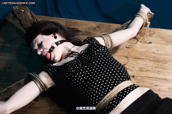 limitedaudience - 2011 luisa helpless to resist 2 第 27 张图片