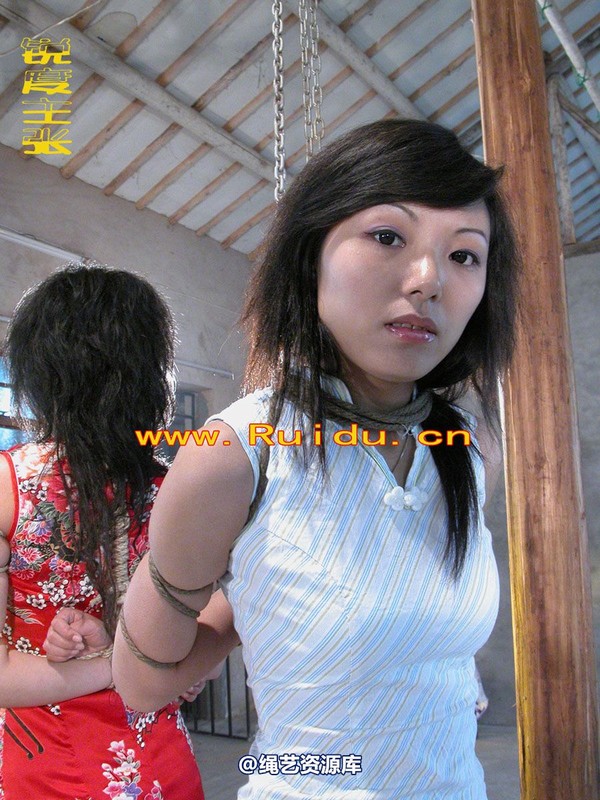 锐度主张 - 孔雀、惠惠、泡泡旗袍捆绑 第 96 张图片