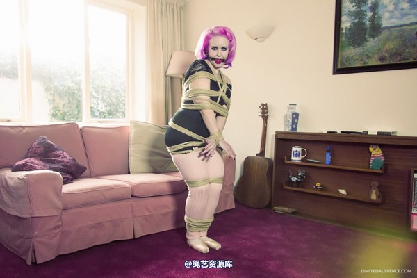 limitedaudience - 2013 assisted suicide interrupted ballet practice 2 第 34 张图片