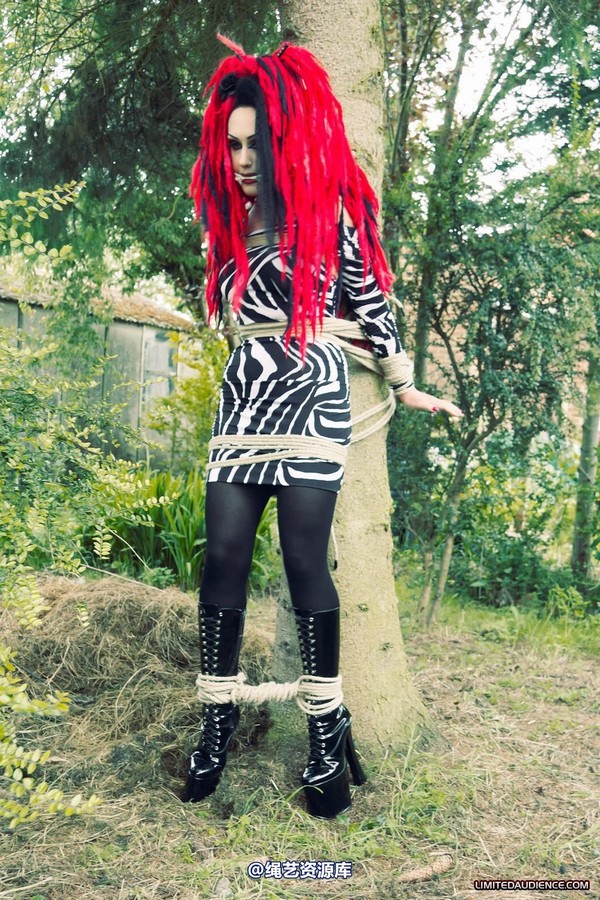 limitedaudience - 2012 andromedax bound to a tree 2 第 8 张图片
