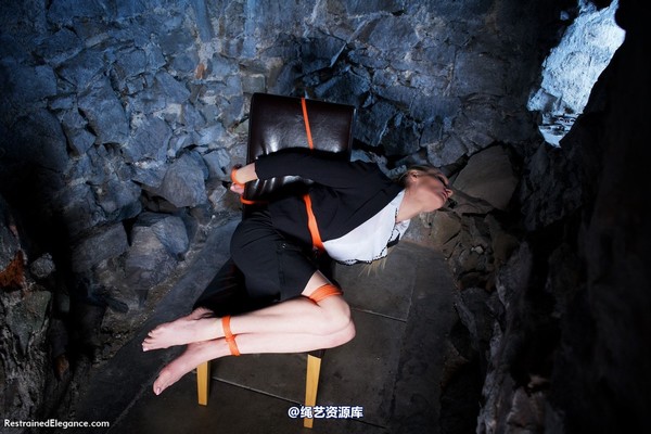 restrainedelegance - You WILL tell us, Miss Price 第 51 张图片