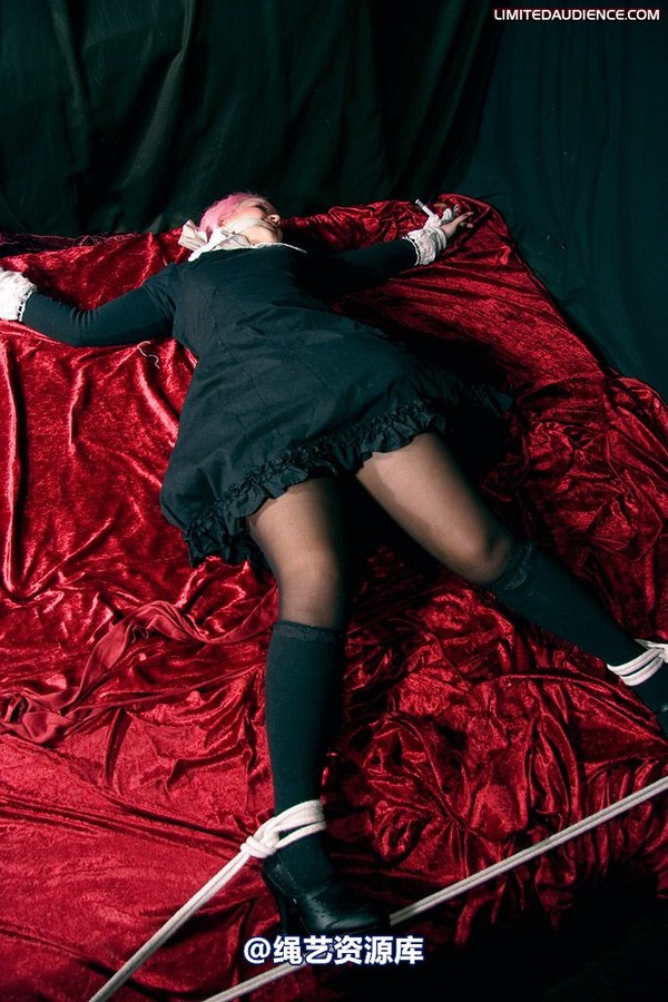 limitedaudience - 2009 assisted suicide internet date 第 33 张图片