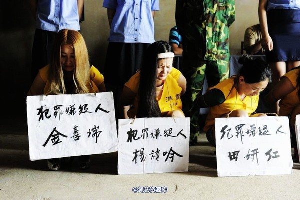 mj影视 - 6.18活动―公捕-2013-06-24 第 15 张图片