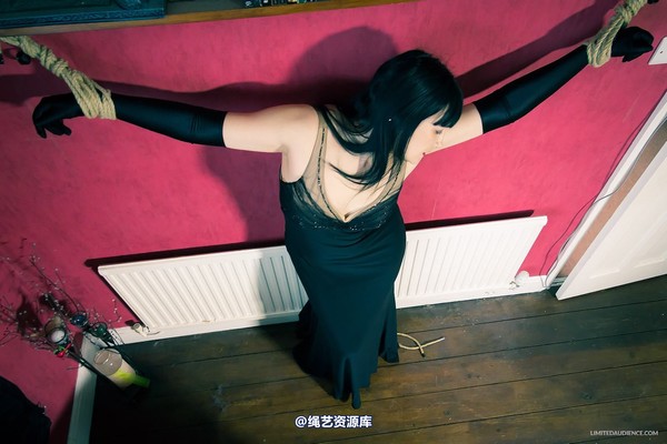 limitedaudience - 2013 dynamo incredulous captive 第 4 张图片