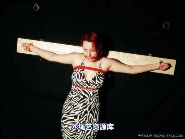 limitedaudience - 2007 erin chained animal 第 37 张图片