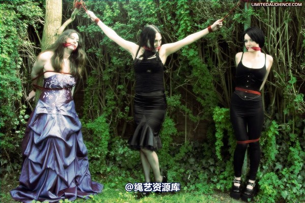 limitedaudience - 2009 catya elyssia lolly pleasure reserves 2 第 33 张图片