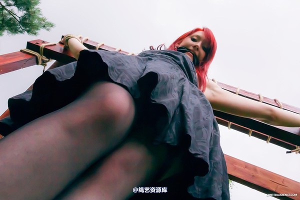 limitedaudience - 2013 syrah lee experiencing the cross 第 29 张图片