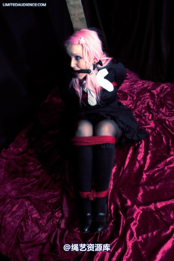 limitedaudience - 2009 assisted suicide taken 第 8 张图片