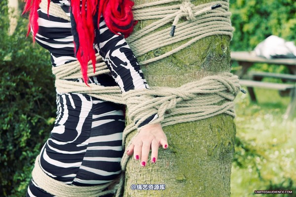 limitedaudience - 2012 andromedax bound to a tree 第 2 张图片