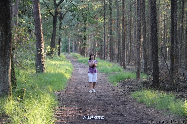 boundlife - bl247 第 56 张图片