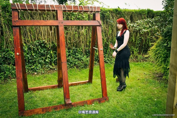 limitedaudience - 2012 syrah lee by the cross 第 23 张图片