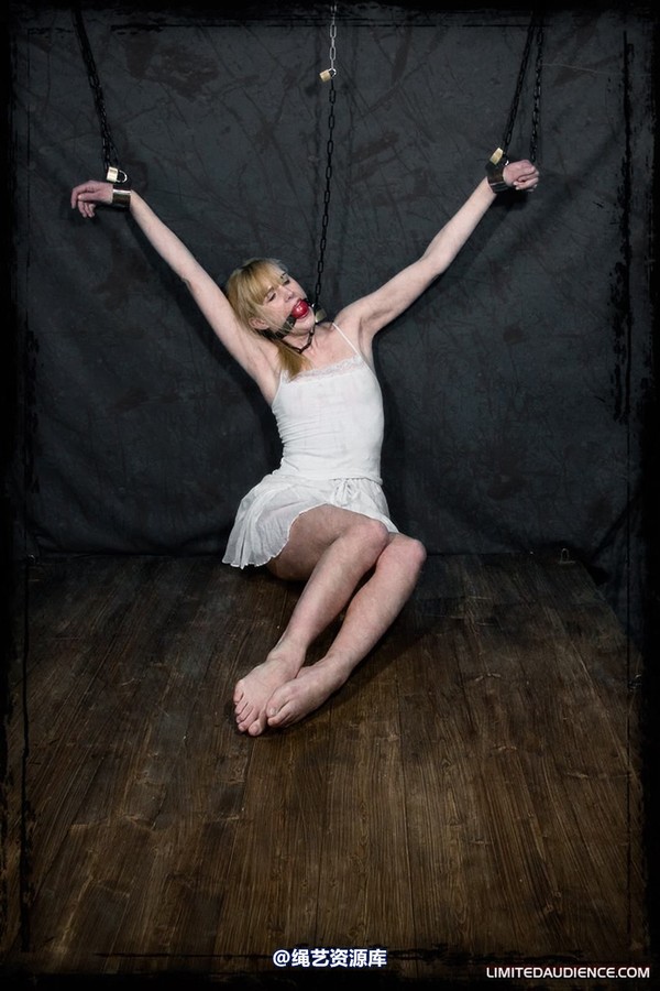 limitedaudience - 2010 ariel the forgotten prisoner 2 第 2 张图片