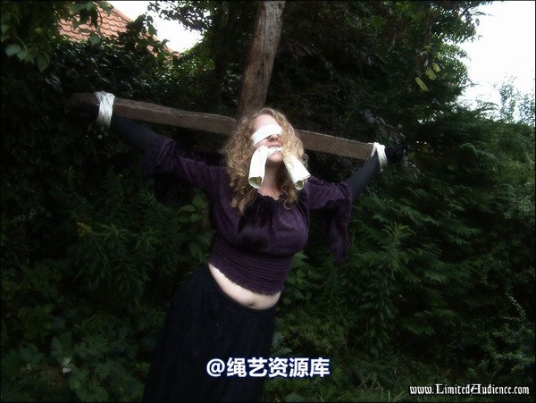 limitedaudience - 2007 ivy and the cross 第 74 张图片