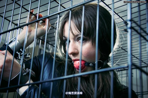 limitedaudience - 2011 sapphire cagey business 第 9 张图片