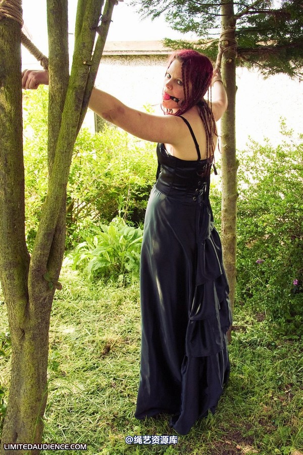 limitedaudience - 2010 beckykat between trees 第 30 张图片