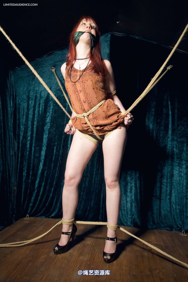 limitedaudience - 2013 syrah lee rope web 2 第 26 张图片