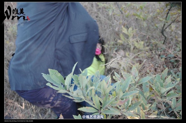 唯美之家 - 2008-11-27萧雅 第 254 张图片