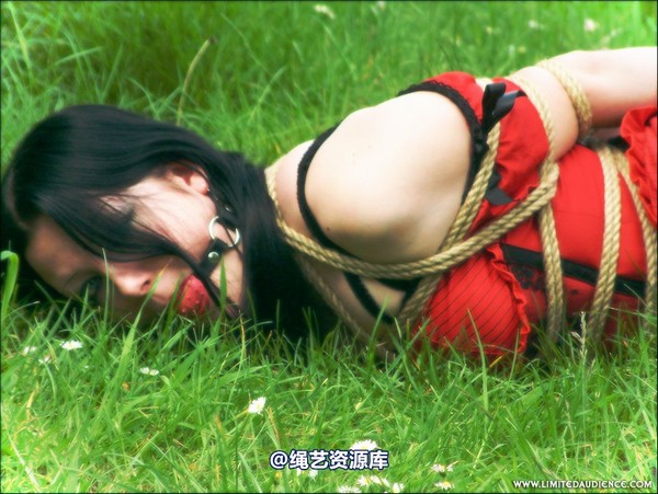 limitedaudience - 2007 asphyxia tied in red 第 35 张图片