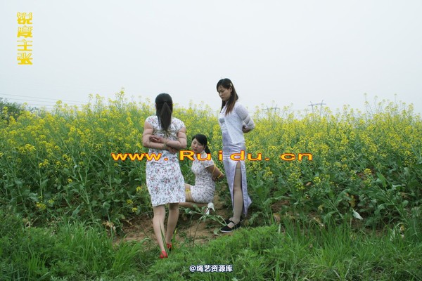 锐度主张 - 4月8日网友聚会室外篇1 第 26 张图片