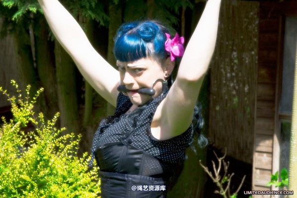 limitedaudience - 2010 raevan punished 第 20 张图片