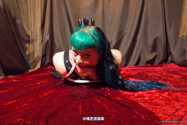 limitedaudience - 2012 raevan hogtied 2 第 20 张图片