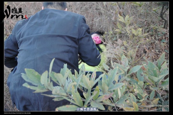 唯美之家 - 2008-11-27萧雅 第 256 张图片