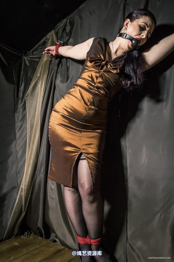 limitedaudience - 2015 caroline pierce bondage in bronze 2 第 26 张图片