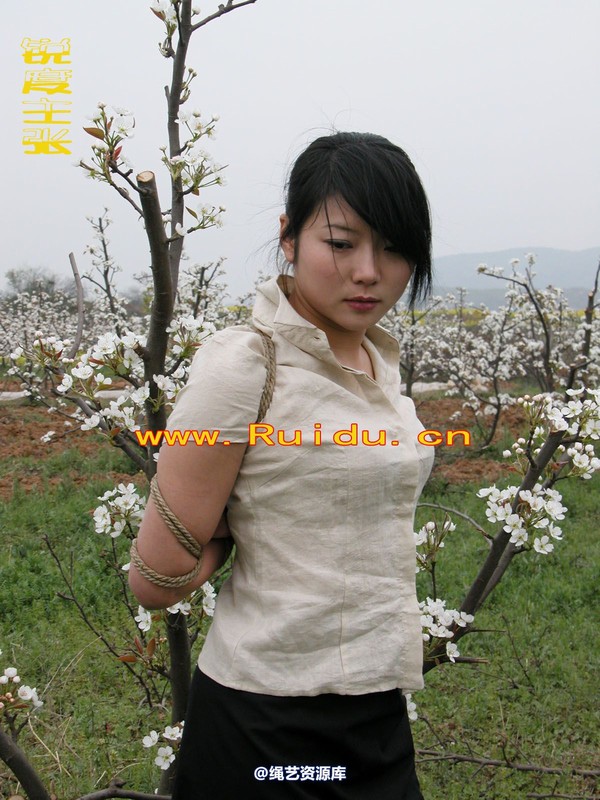 锐度主张 - 婷婷和寒冰梨花林中 第 25 张图片
