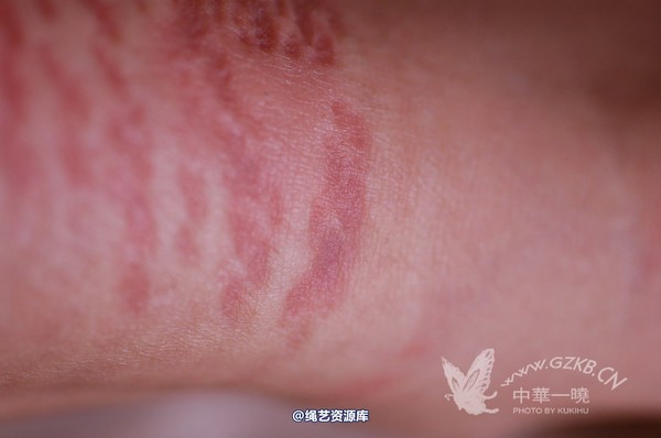 中华一晓 - 中华一晓 NO.0144 第 25 张图片