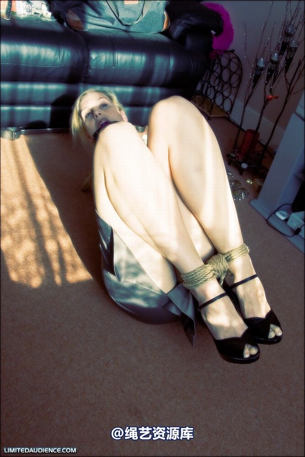 limitedaudience - 2008 ariel hogtied secretary 第 18 张图片