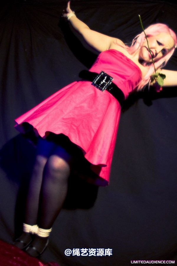 limitedaudience - 2009 assisted suicide a darling damsel 第 10 张图片