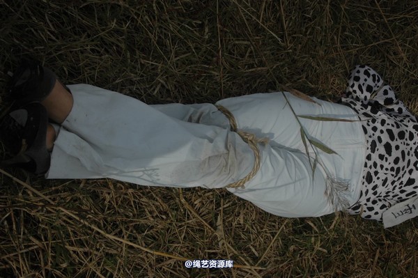 mj影视 - 血泪控诉刑场 第 309 张图片