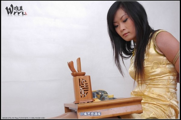 唯美之家 - 2008-11-11琪琪旗袍五花 第 33 张图片