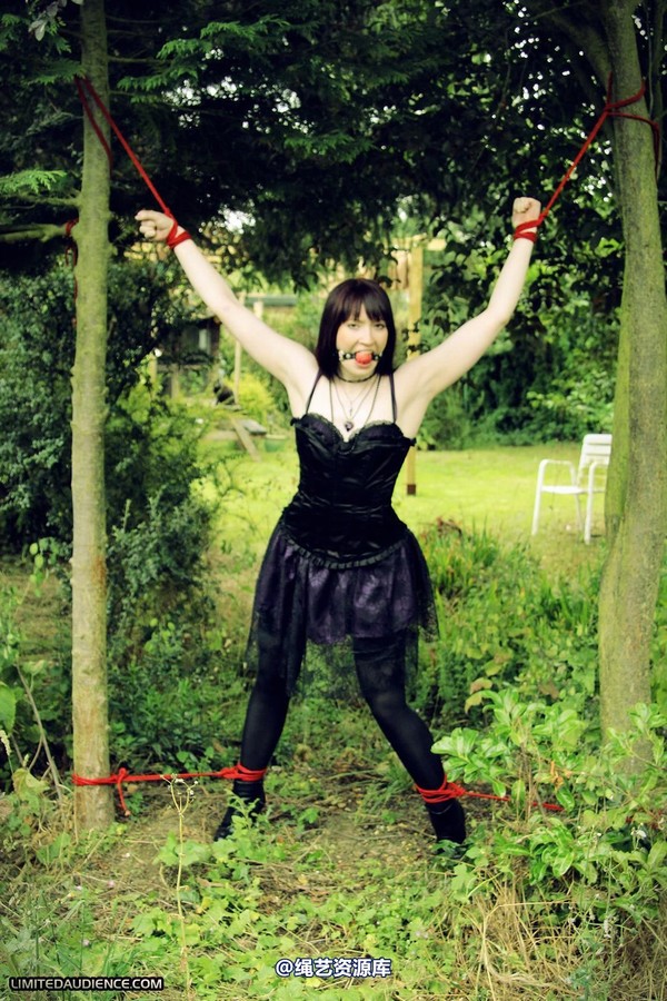 limitedaudience - 2011 syrah lee helpless outdoors 第 10 张图片