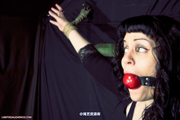 limitedaudience - 2009 veriddian hoissy 2 第 5 张图片