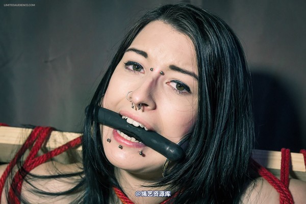 limitedaudience - 2013 stacey von time challenge 第 26 张图片