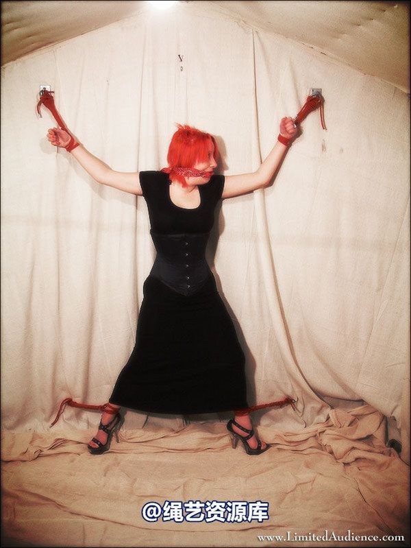 limitedaudience - 2007 erin open arms 第 39 张图片