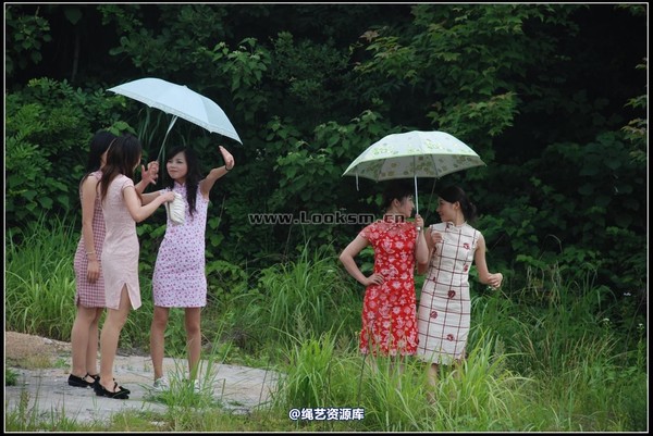 千丝万缕 - 2008-05-24日照片 第 1 张图片