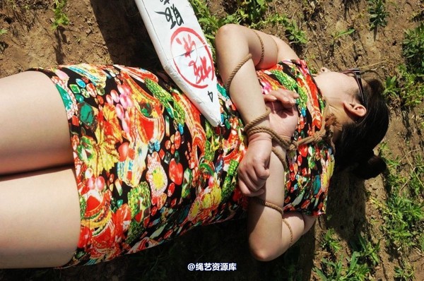 mj影视 - 紫云的末日紫云2-2013-05-23 第 263 张图片