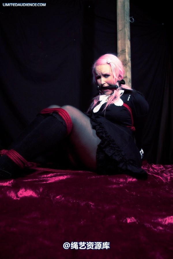 limitedaudience - 2009 assisted suicide taken 第 9 张图片