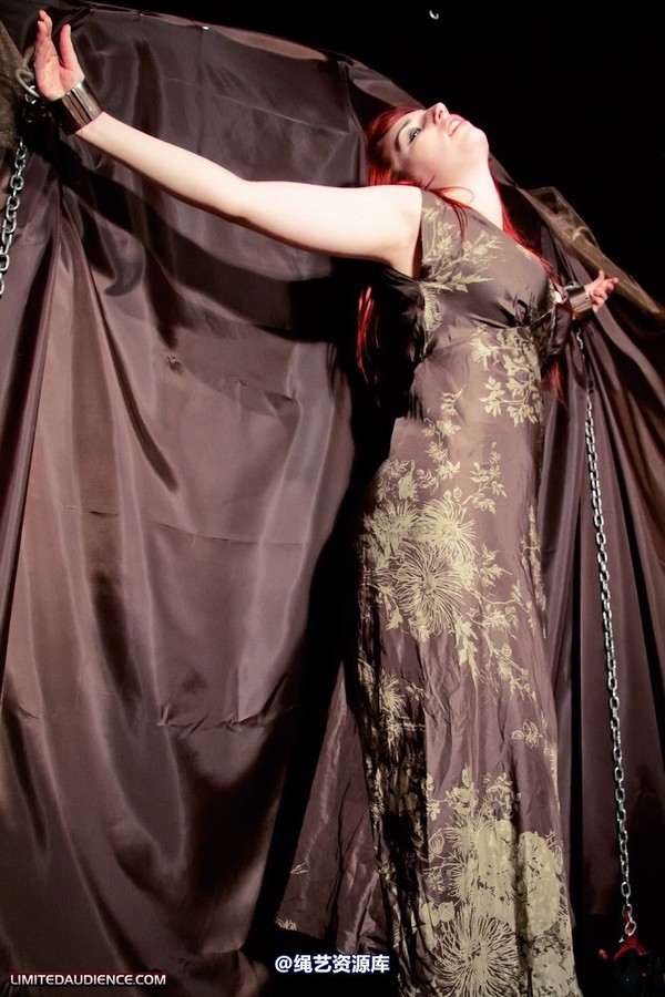 limitedaudience - 2011 ivory penance at home 第 8 张图片