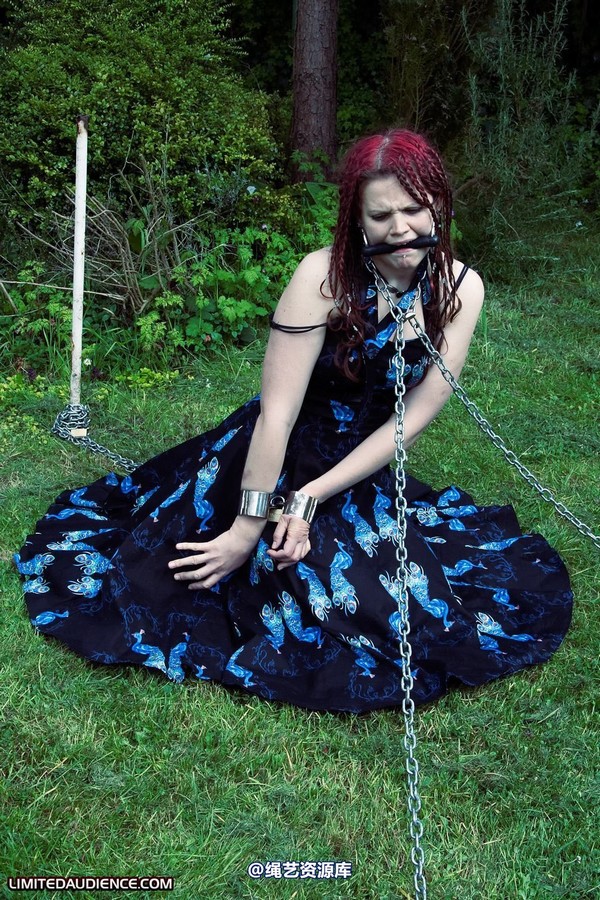 limitedaudience - 2010 beckykat chained and staked 第 14 张图片