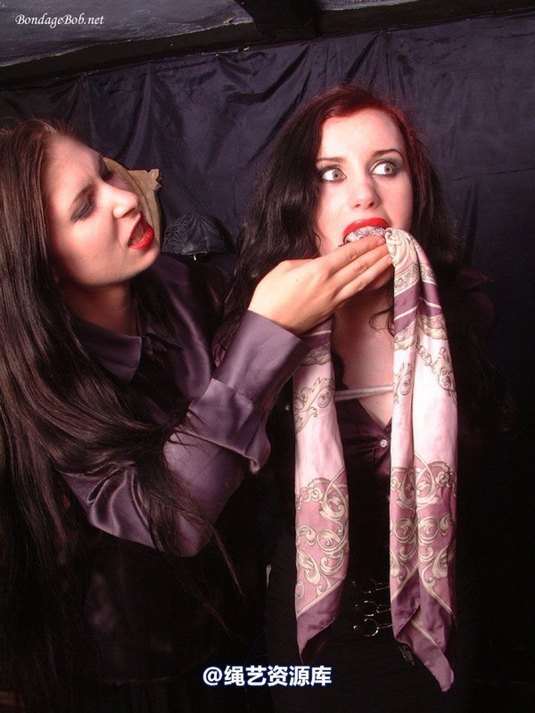 bondagebob - Morrigan and Lydia I'll fix you! 第 23 张图片