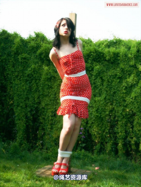 limitedaudience - 2007 dominick destruction young belle bound 第 14 张图片