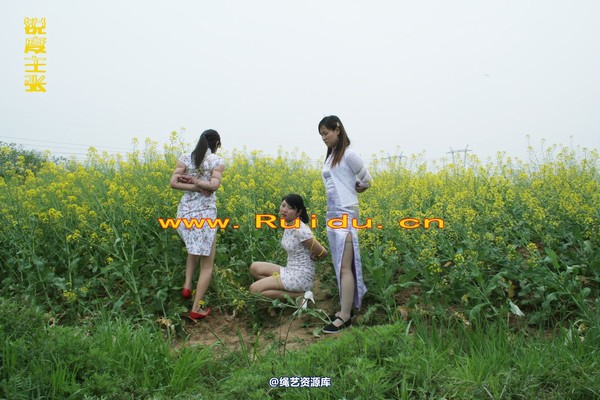 锐度主张 - 4月8日网友聚会室外篇1 第 27 张图片