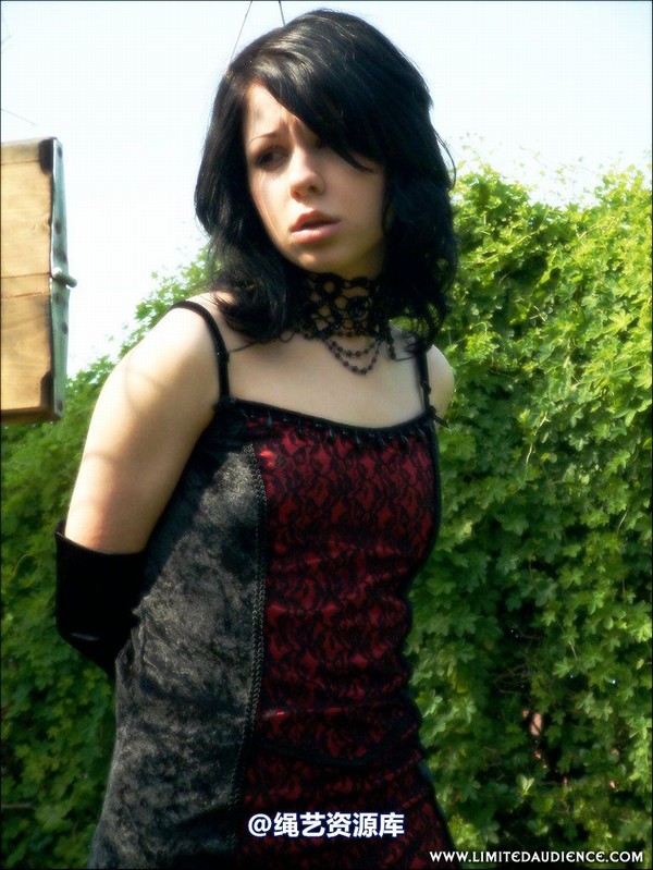 limitedaudience - 2007 dominick destruction public penance 第 14 张图片