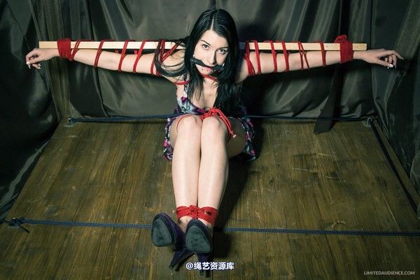 limitedaudience - 2013 stacey von time challenge 2 第 34 张图片